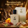 Oudh Ameeri – Premium Luxury Oudh Perfume by Dark Elafi (100ml)
